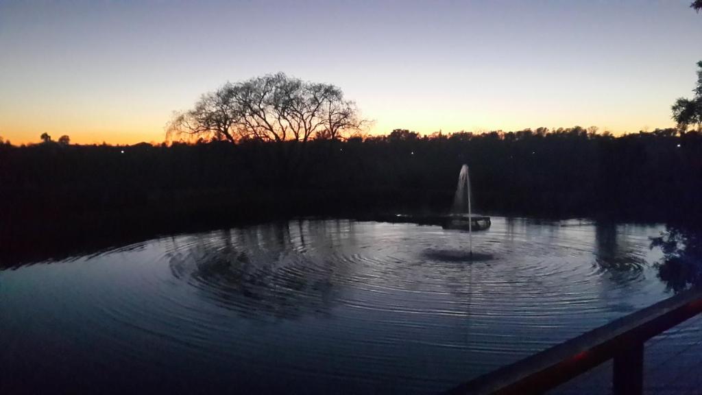 アクティビティ