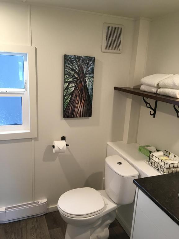 Tiny Homes by Snow Valley Lodging photo