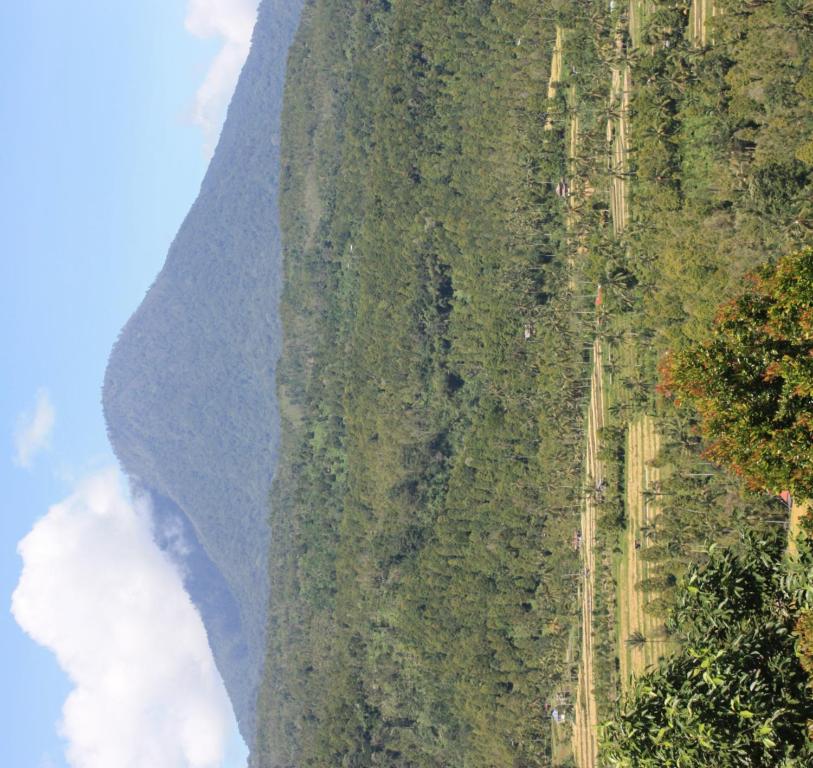 Surrounding environment