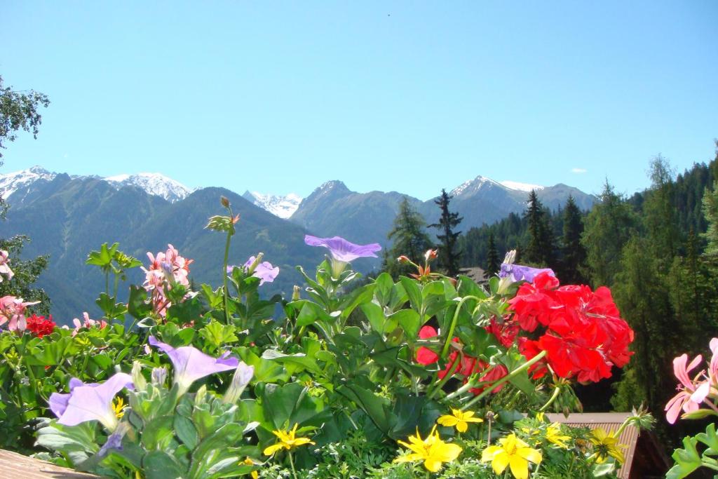 Haus Alpenrose - 2