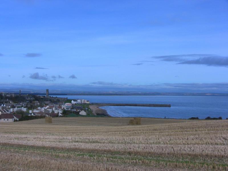 Ảnh 5