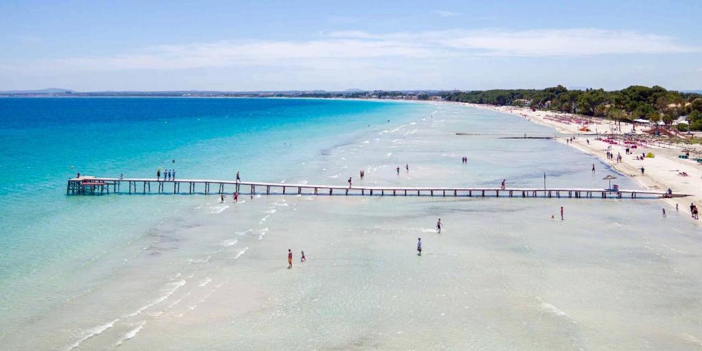 Apartment Alcudia Ocean View photo