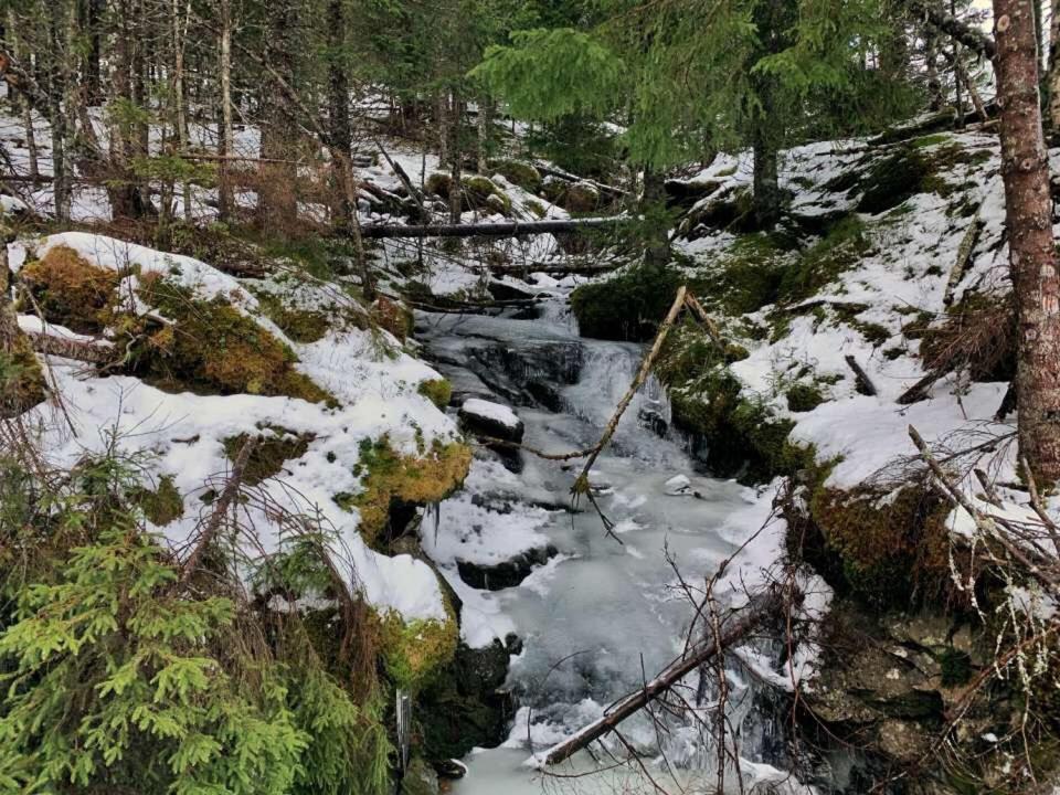 Voss,øvre trastølen photo