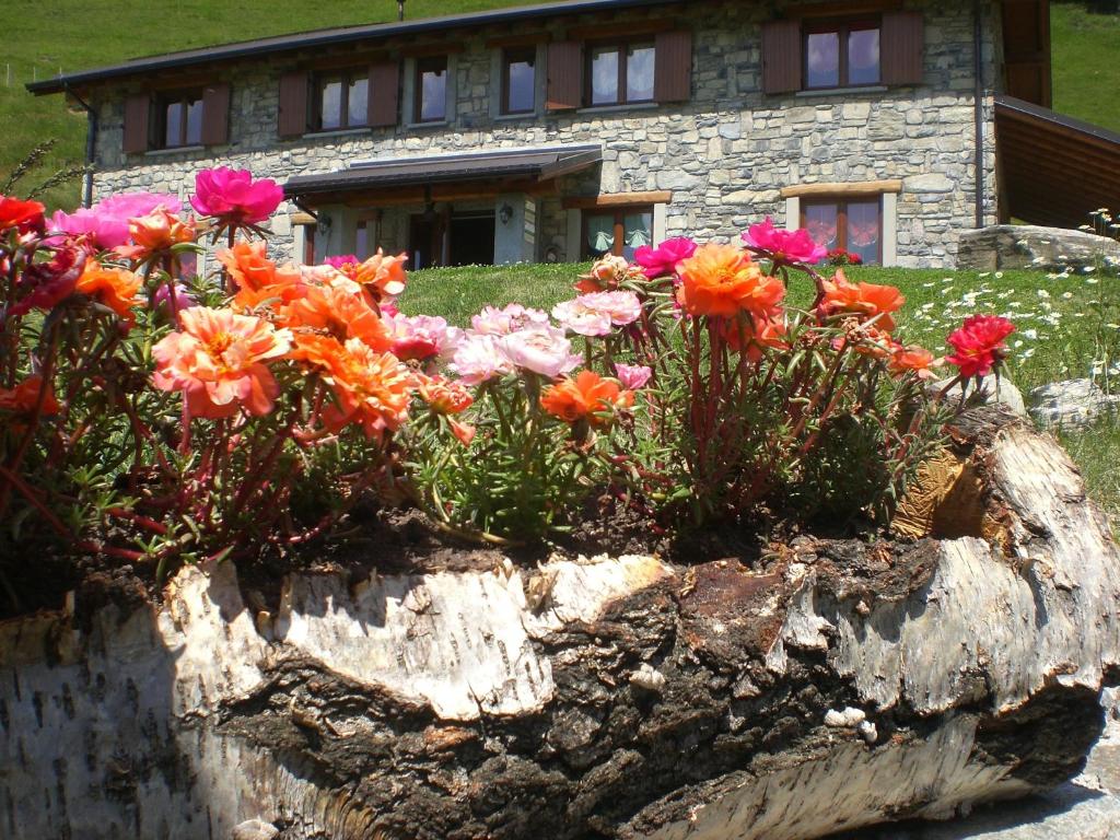 Agriturismo Le Radici — Hotel in Blessagno