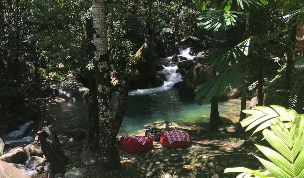 Daintree Secrets Rainforest Sanctuary, Diwan
