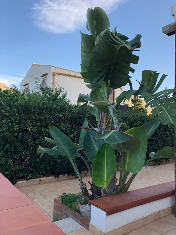 Villa a San Vito lo Capo Minaudo - 5