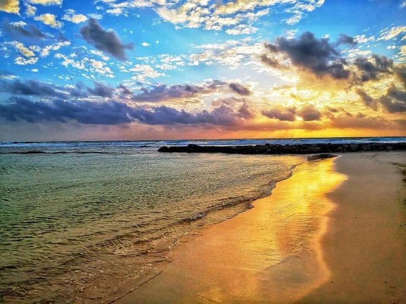 Bahia Principe & Golf Residences (Terrazas Condo) - 3