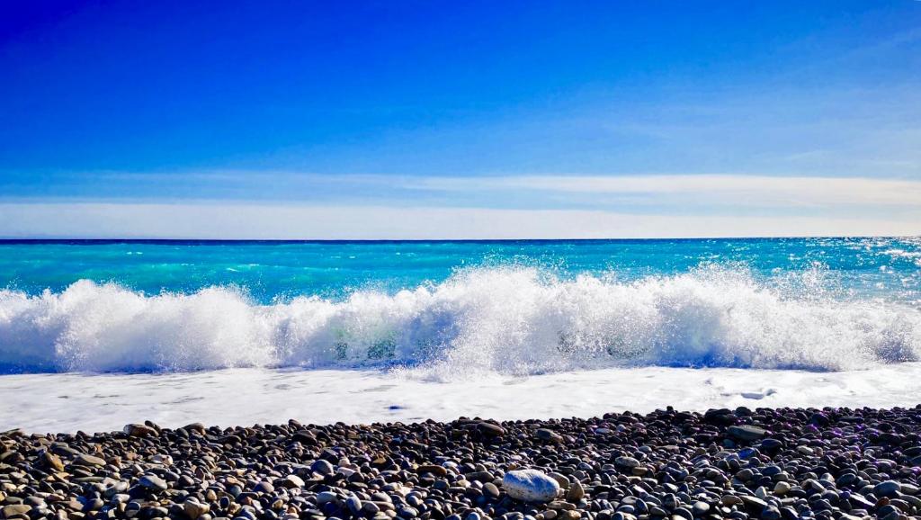 Florida Blue - Easy Home Booking - 5