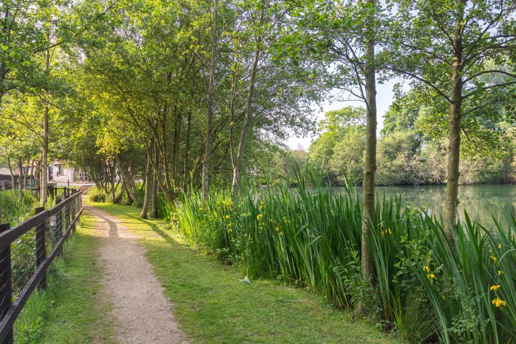 Surrounding environment