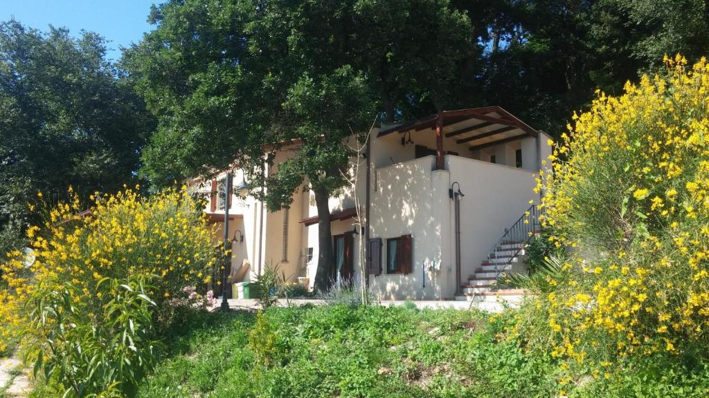 Le Querce - 1