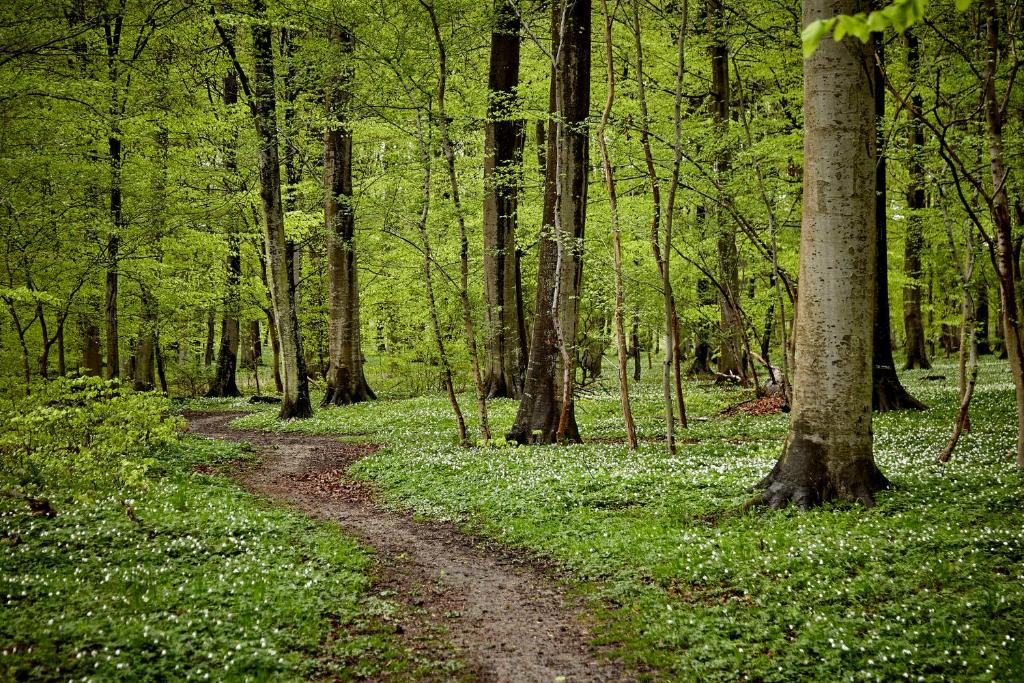 Surrounding environment