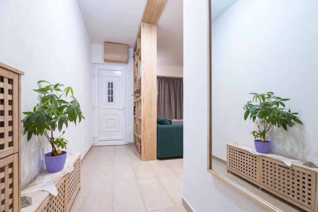 Apartmani ''Brico II'' photo