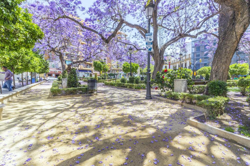 Cubo's Apartamento Origen del Sur & Free Parking photo