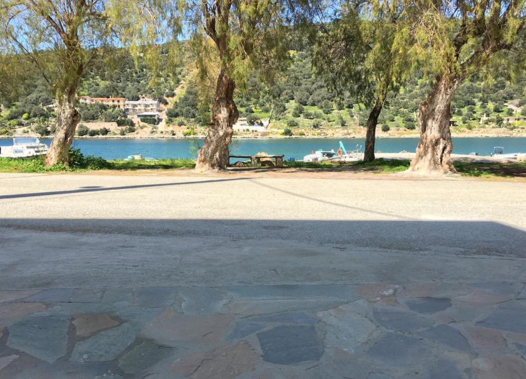 Sea Front Studio - Porto Boufalo - Evia photo