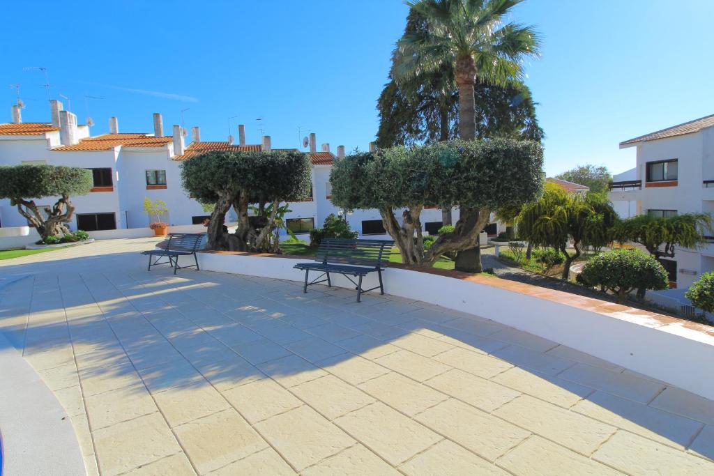 Apartamento das Oliveiras photo