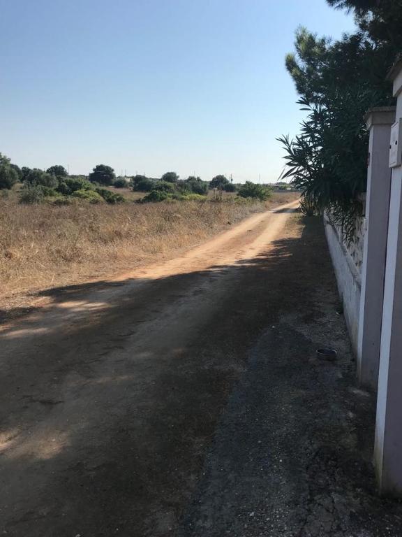 Villa Brigida photo