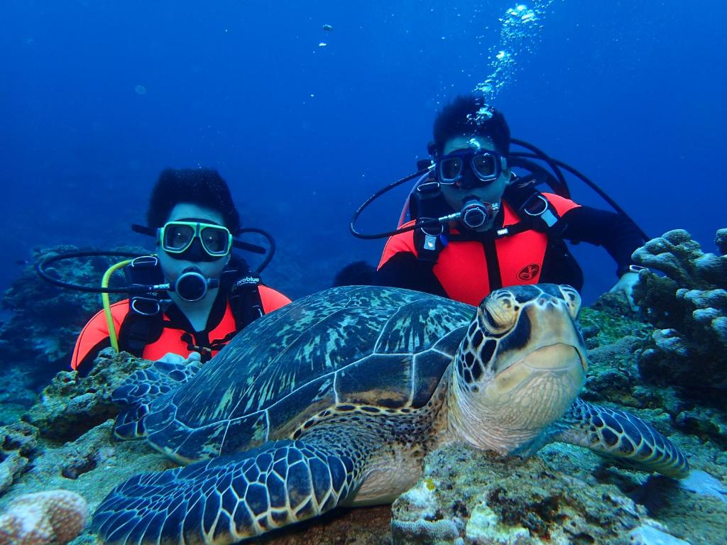 Qing Feng Diving B&B 호텔 이미지 2