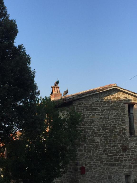 Fattoria Didattica Gli Allori - 5