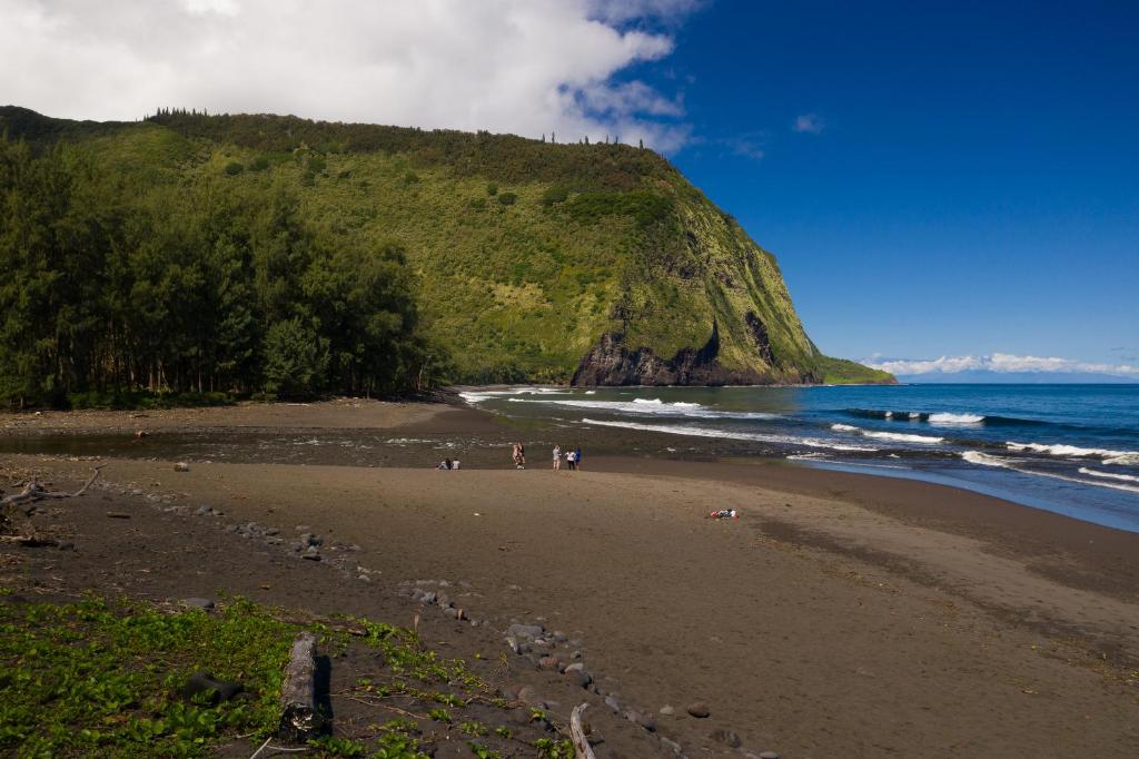 Waipi'o Lodge photo