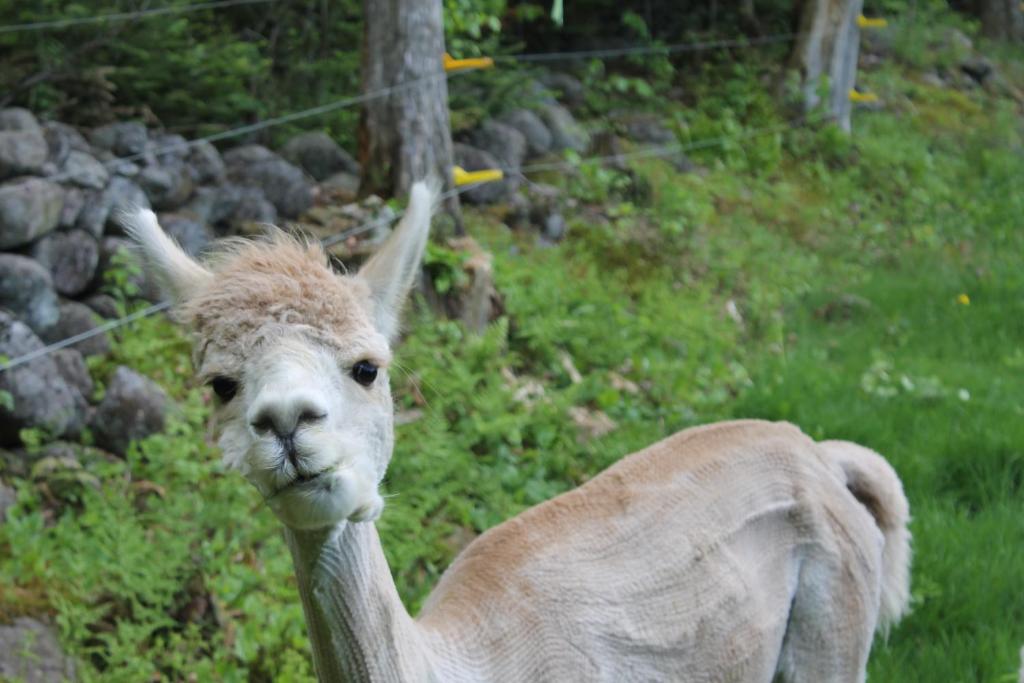 Popular attractions Area Nearby Property