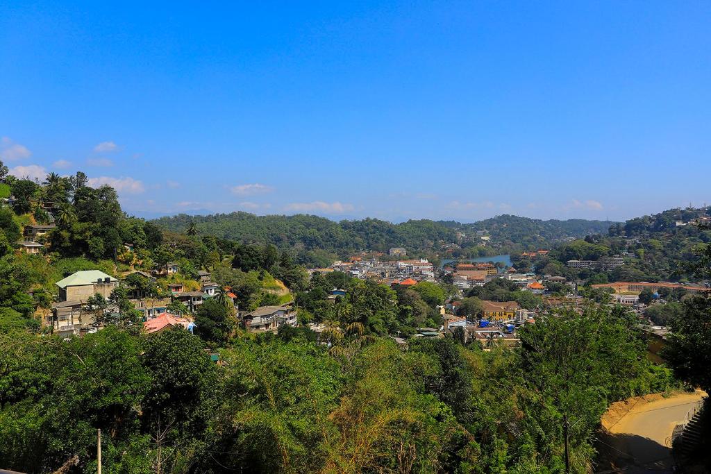 Vendol Sky Resort photo