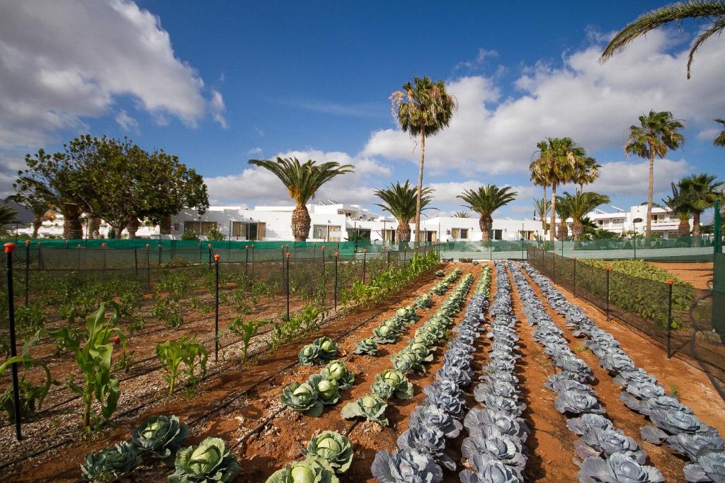 Hotel Floresta Photo 9