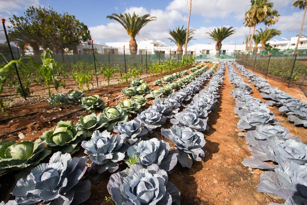 Hotel Floresta Photo 10