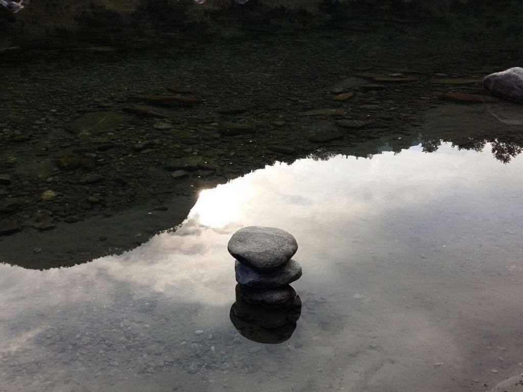 Surrounding environment