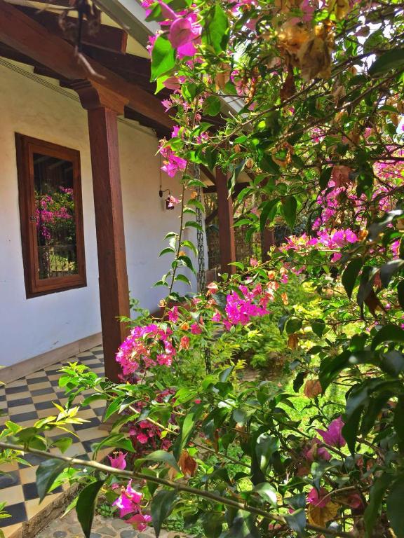 Casa Santamaria Hotel Campestre photo