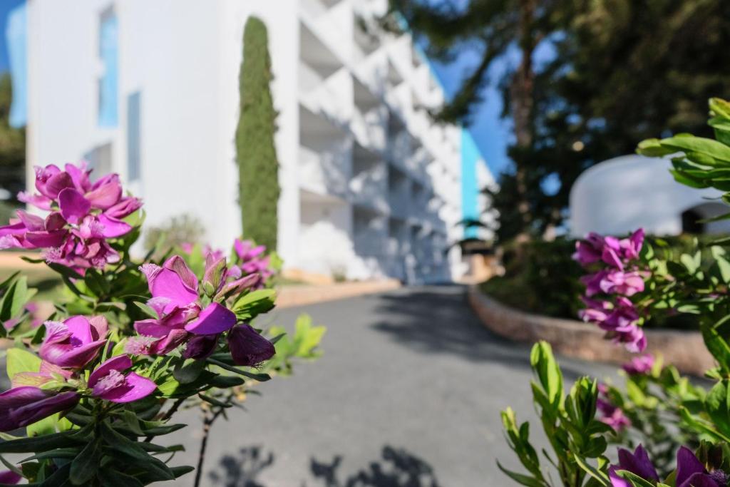 azuLine Hoteles Mar Amantis & II — Hotel building in San Antonio, Balearic Islands