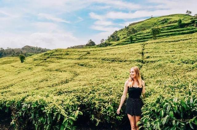 Buton Backpacker Lodge