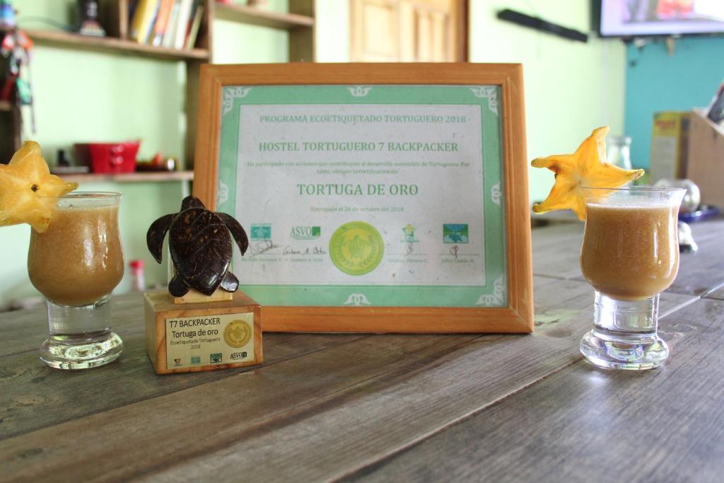 Hostel Tortuguero 7BackPackers photo