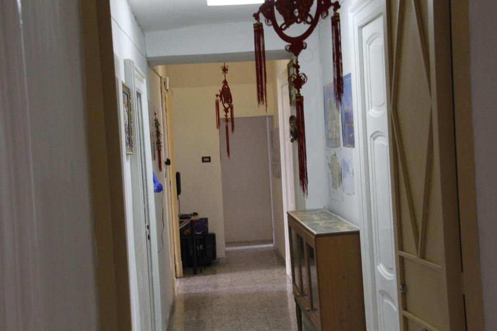 Basic 8 Bed Mixed Dorm (share Bathroom) photo