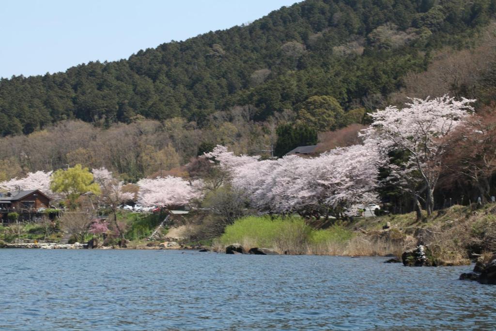 Surrounding environment