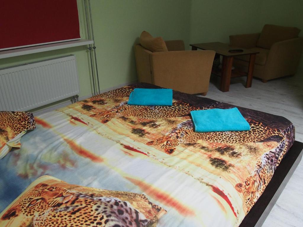 Hostelis Laurita photo