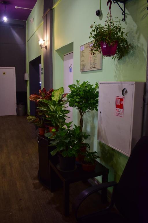 Gaidai Hostel photo