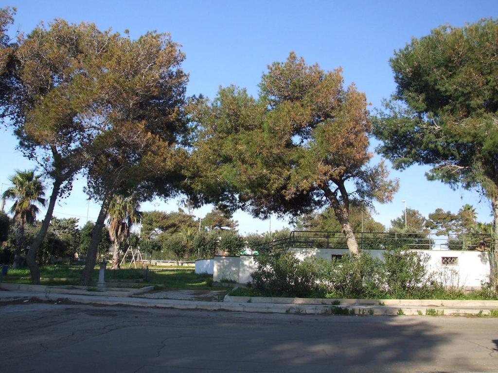 Villetta Le Soleil - Il mare sotto casa, Gallipoli a due passi - 4