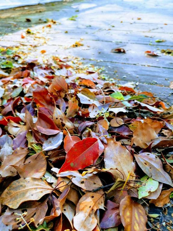 Sanyi Homestay 호텔 이미지 2