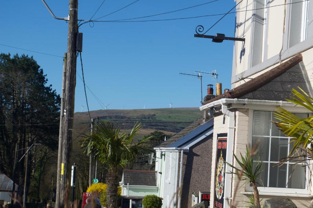 The Cwtch, Aberdare photo 8