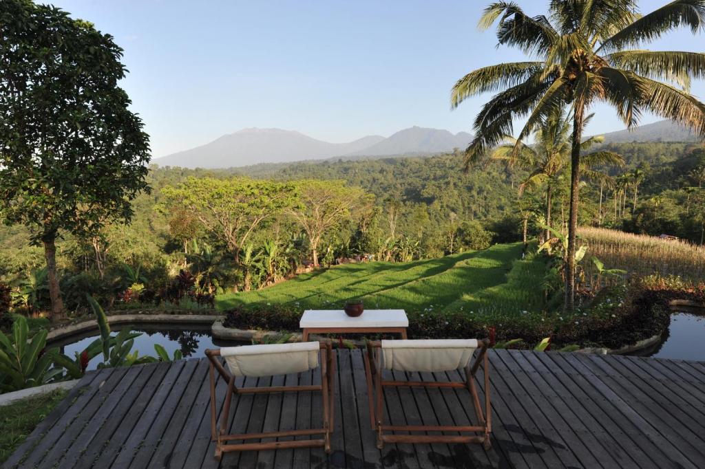 View