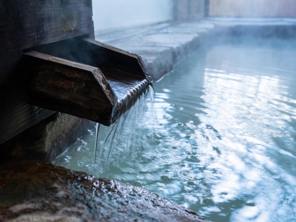 Hot spring bath