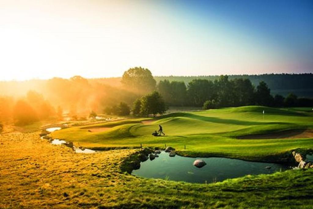 Golfiväljak [kohapealne]