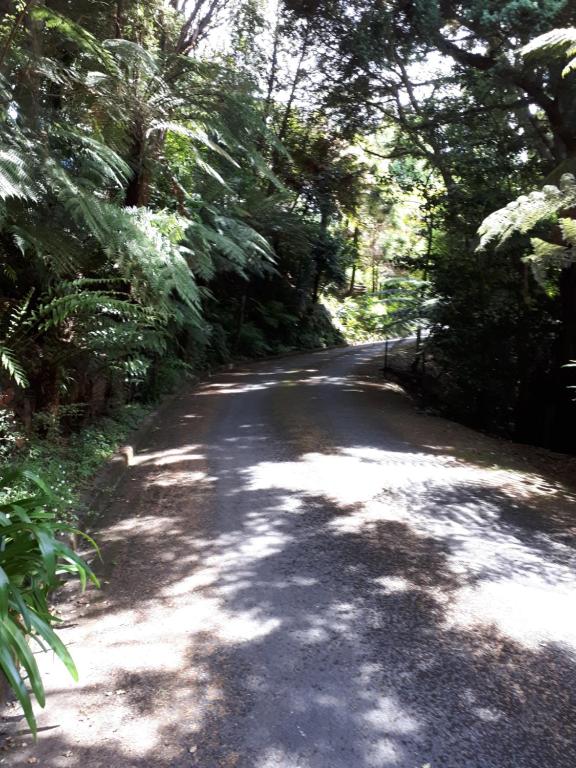 Rangaroa Heights photo