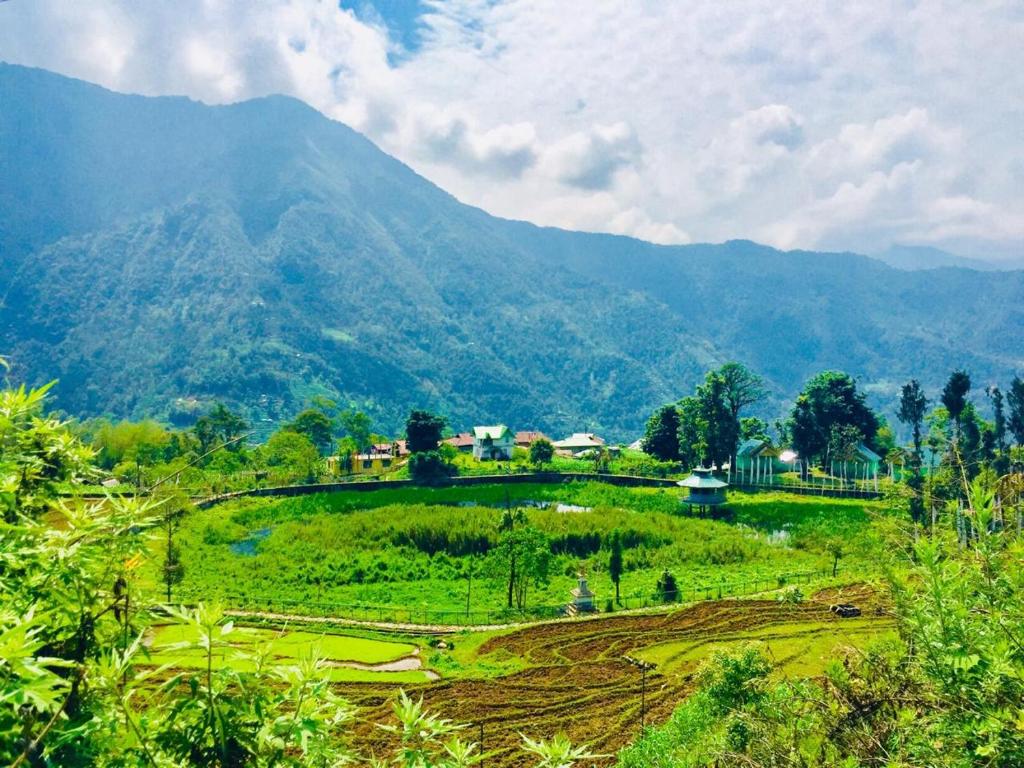 VAMOOSE PARKHA SIKKIM photo