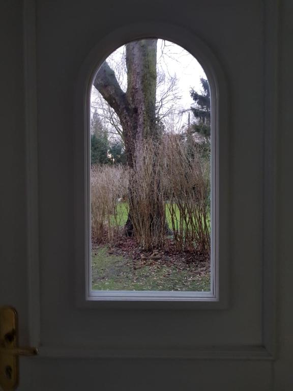 Beautiful House in Zehlendorf photo