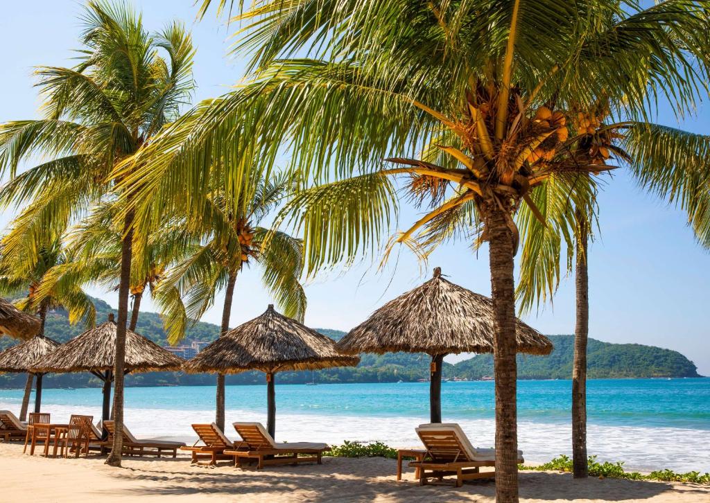 Thompson Zihuatanejo, a Beach Resort, part of Hyatt photo
