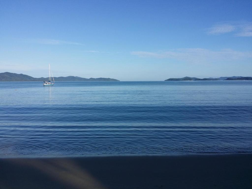 Ferellee Beachfront Inn photo