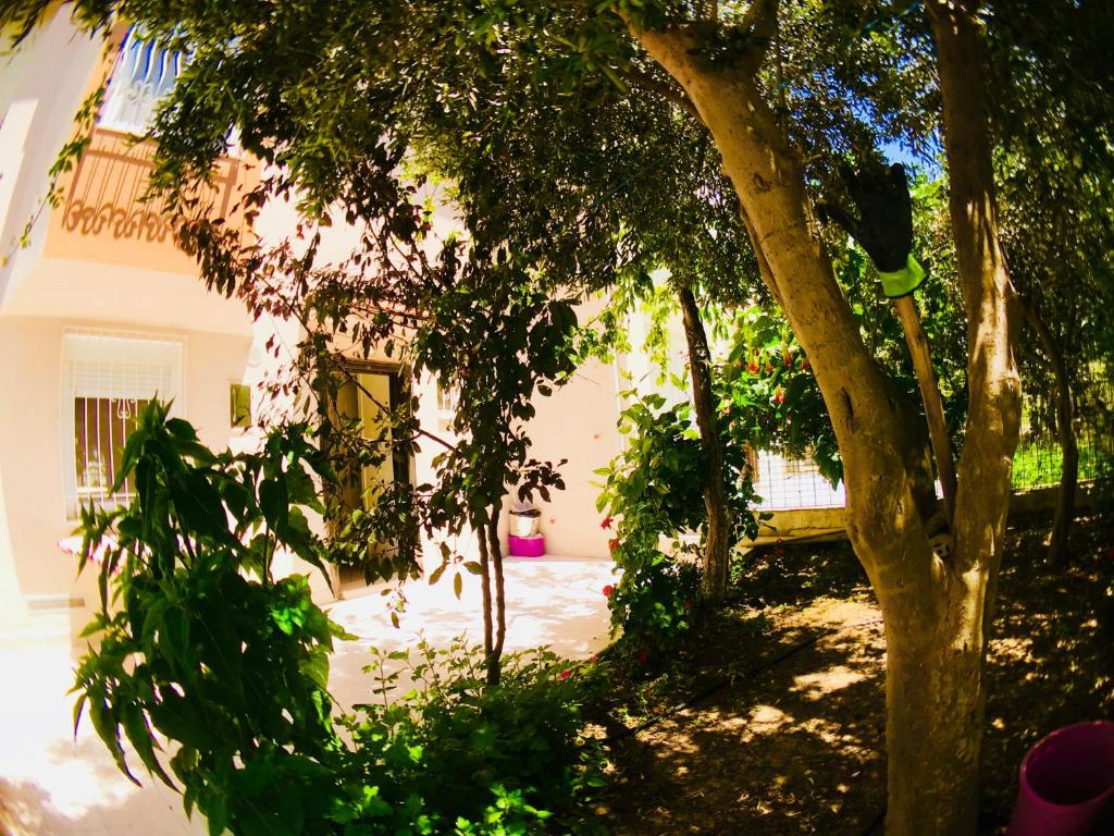 Cheap happy ending massage hobart