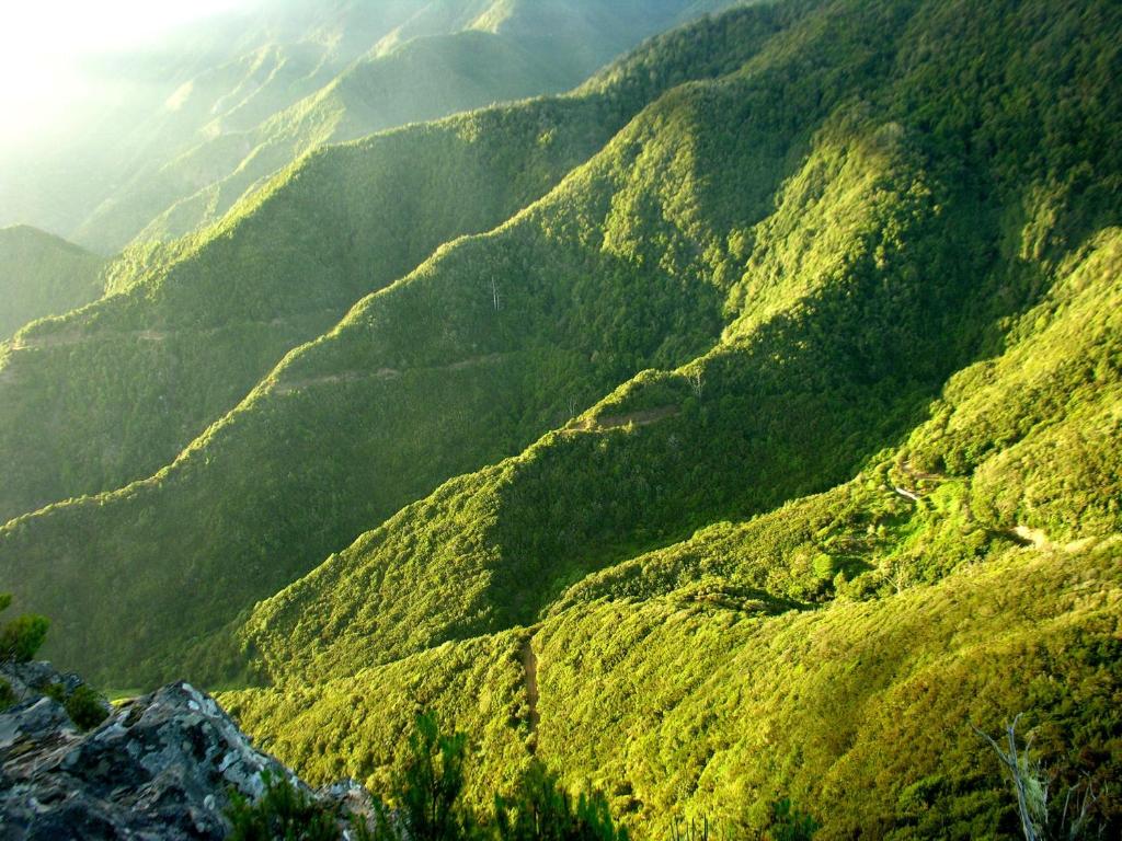 周辺観光スポット