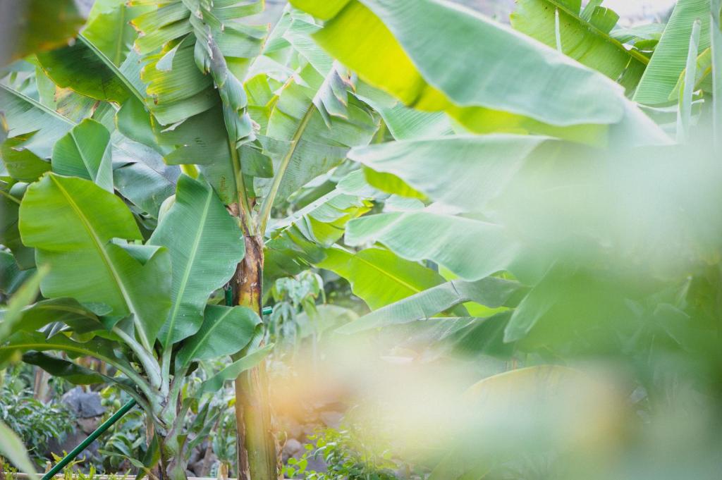 周辺観光スポット